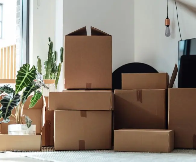 Get Cardboard Boxes Or Storage Boxes In Any Quantity, Size, Or Shape