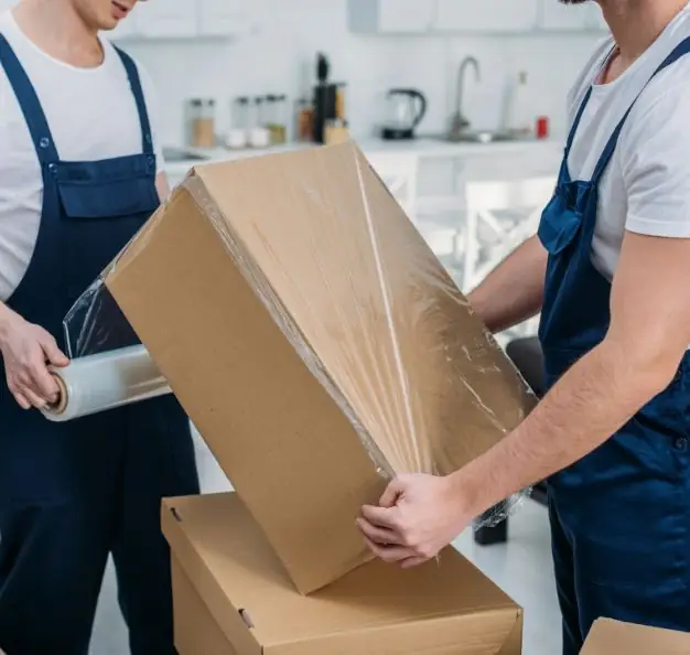 Customizable Storage Solutions for Removals