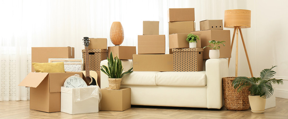 Moving Boxes Services