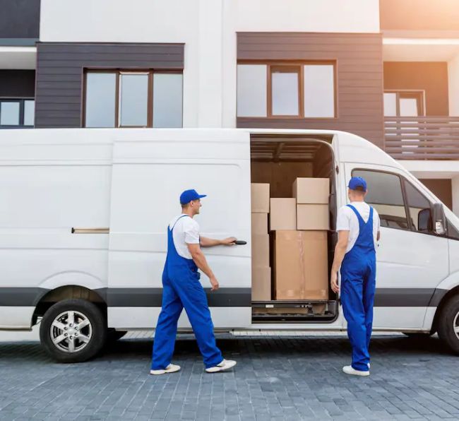 The Best Removalists